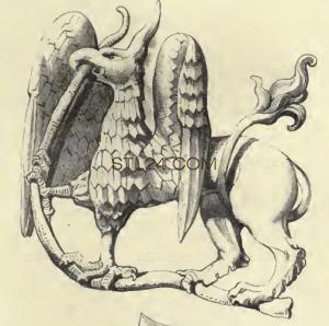ANIMAL_0092
